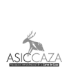 Asiccaza
